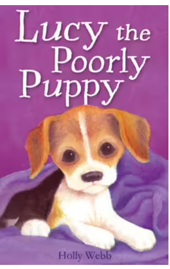 Holy Webb- Lucy the Poorly Puppy - Fair condition