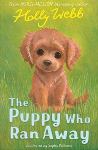 Holy Webb- The Puppy Who Ran Away