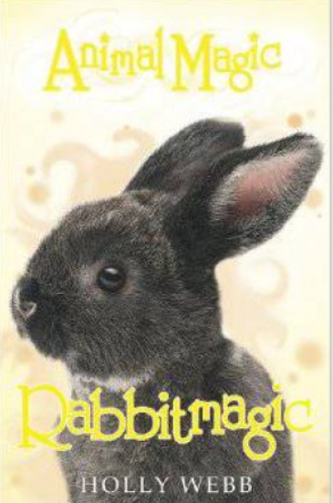 Holly Webb : Rabbitmagic : Animal Magic Book 4