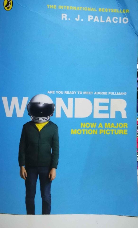 Wonder