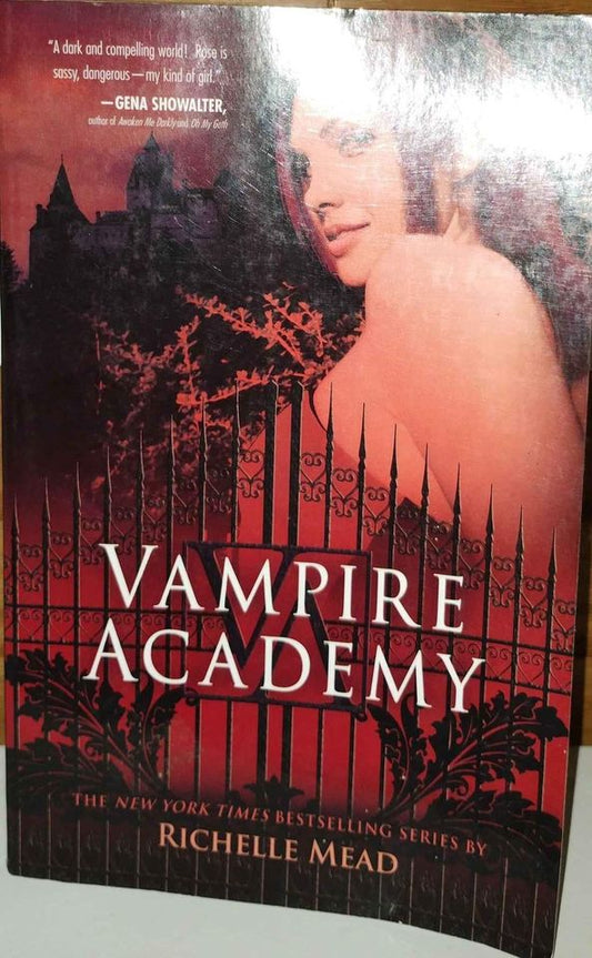 A Vampire Academy Book 1-Paperback