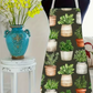 Apron- Potted Succulent Plants Pattern