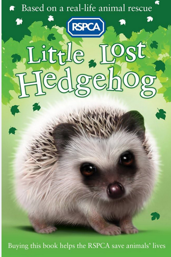 RSPCA : Little Lost Hedgehog