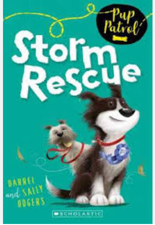 Pup Patrol : Storm Rescue