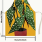 Apron- Begonia Plant Pattern