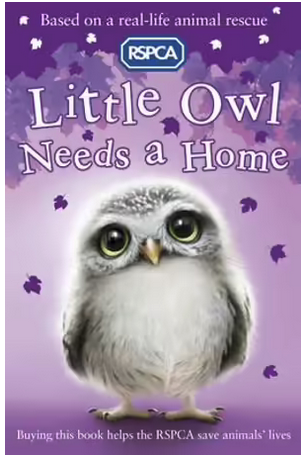 RSPCA : Little Owl Needs a Home