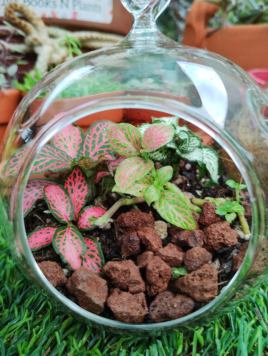 Mini Terrarium