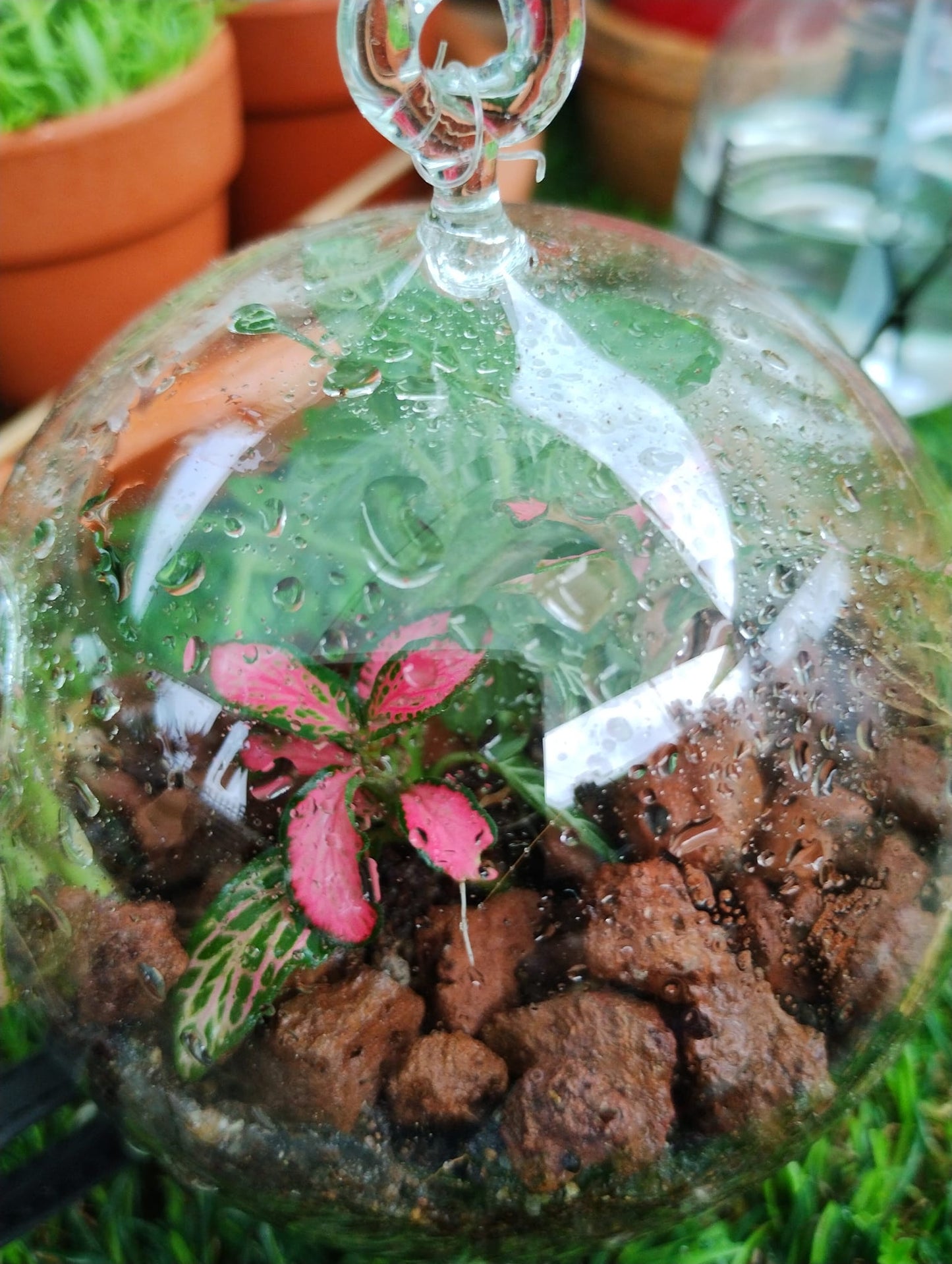 Mini Terrarium